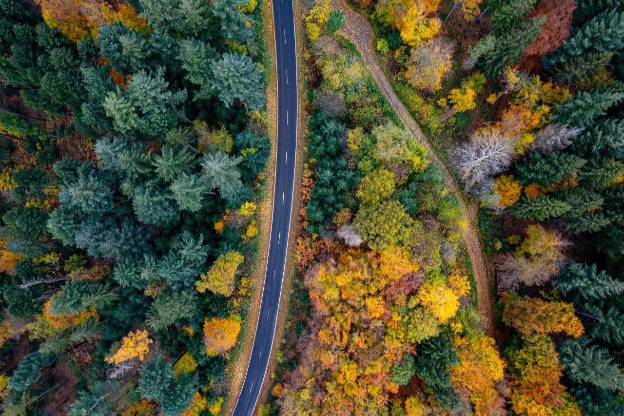 Aerial photography of an autumnal forest, with a road cutting through the middle.