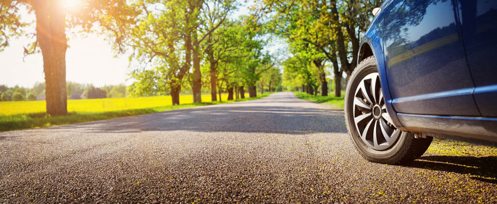 Car driving in Spring