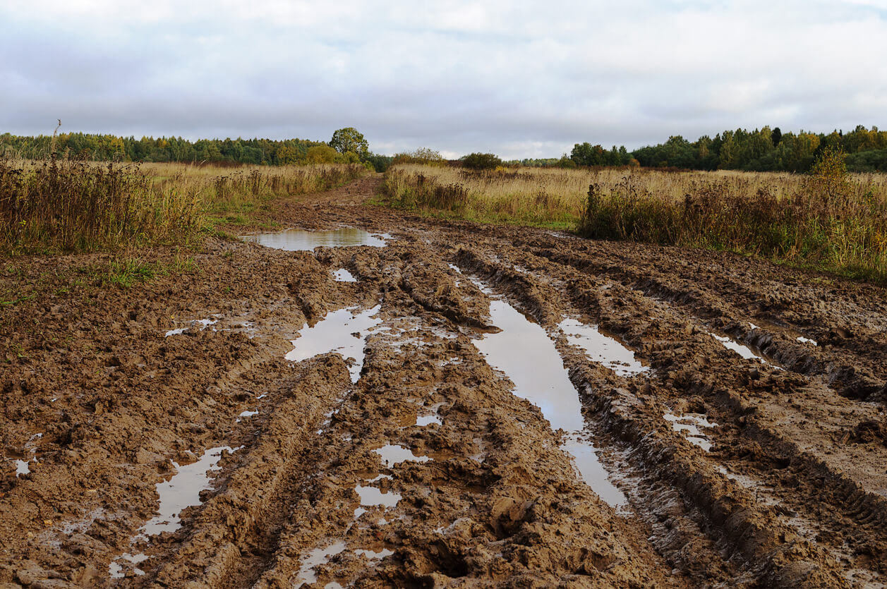 Messy rural dirt road after the rain with large muddy puddles